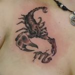 Фото рисунка скорпион 24.11.2018 №135 - photo tattoo scorpion - tattoo-photo.ru