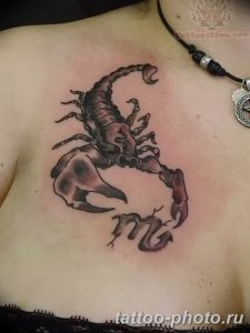 Фото рисунка скорпион 24.11.2018 №135 - photo tattoo scorpion - tattoo-photo.ru
