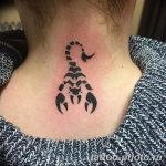 Фото рисунка скорпион 24.11.2018 №136 - photo tattoo scorpion - tattoo-photo.ru