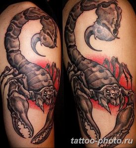 Фото рисунка скорпион 24.11.2018 №137 - photo tattoo scorpion - tattoo-photo.ru