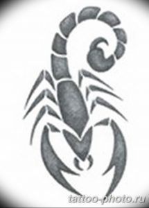 Фото рисунка скорпион 24.11.2018 №138 - photo tattoo scorpion - tattoo-photo.ru