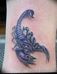 Фото рисунка скорпион 24.11.2018 №139 - photo tattoo scorpion - tattoo-photo.ru
