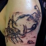 Фото рисунка скорпион 24.11.2018 №142 - photo tattoo scorpion - tattoo-photo.ru