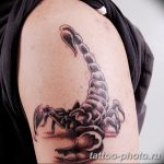 Фото рисунка скорпион 24.11.2018 №143 - photo tattoo scorpion - tattoo-photo.ru