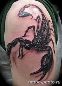 Фото рисунка скорпион 24.11.2018 №144 - photo tattoo scorpion - tattoo-photo.ru