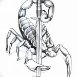 Фото рисунка скорпион 24.11.2018 №145 - photo tattoo scorpion - tattoo-photo.ru