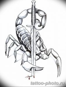 Фото рисунка скорпион 24.11.2018 №145 - photo tattoo scorpion - tattoo-photo.ru