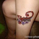 Фото рисунка скорпион 24.11.2018 №146 - photo tattoo scorpion - tattoo-photo.ru