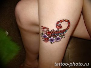 Фото рисунка скорпион 24.11.2018 №146 - photo tattoo scorpion - tattoo-photo.ru