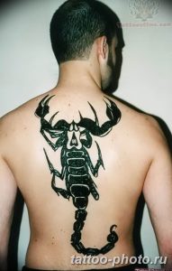 Фото рисунка скорпион 24.11.2018 №148 - photo tattoo scorpion - tattoo-photo.ru