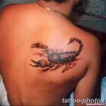 Фото рисунка скорпион 24.11.2018 №152 - photo tattoo scorpion - tattoo-photo.ru