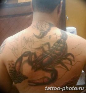 Фото рисунка скорпион 24.11.2018 №153 - photo tattoo scorpion - tattoo-photo.ru