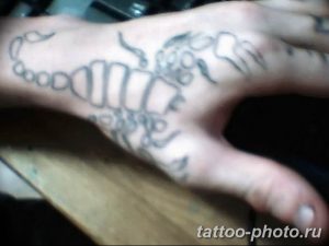 Фото рисунка скорпион 24.11.2018 №155 - photo tattoo scorpion - tattoo-photo.ru