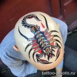 Фото рисунка скорпион 24.11.2018 №156 - photo tattoo scorpion - tattoo-photo.ru