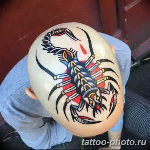Фото рисунка скорпион 24.11.2018 №156 - photo tattoo scorpion - tattoo-photo.ru