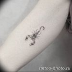 Фото рисунка скорпион 24.11.2018 №157 - photo tattoo scorpion - tattoo-photo.ru