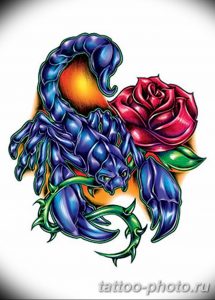 Фото рисунка скорпион 24.11.2018 №160 - photo tattoo scorpion - tattoo-photo.ru