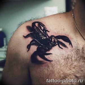 Фото рисунка скорпион 24.11.2018 №161 - photo tattoo scorpion - tattoo-photo.ru
