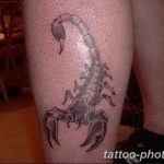 Фото рисунка скорпион 24.11.2018 №163 - photo tattoo scorpion - tattoo-photo.ru