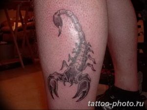 Фото рисунка скорпион 24.11.2018 №163 - photo tattoo scorpion - tattoo-photo.ru