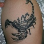 Фото рисунка скорпион 24.11.2018 №165 - photo tattoo scorpion - tattoo-photo.ru