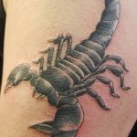 Фото рисунка скорпион 24.11.2018 №166 - photo tattoo scorpion - tattoo-photo.ru