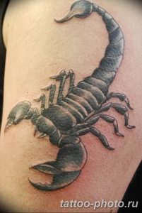 Фото рисунка скорпион 24.11.2018 №166 - photo tattoo scorpion - tattoo-photo.ru