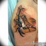 Фото рисунка скорпион 24.11.2018 №167 - photo tattoo scorpion - tattoo-photo.ru