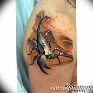 Фото рисунка скорпион 24.11.2018 №167 - photo tattoo scorpion - tattoo-photo.ru