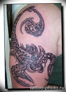 Фото рисунка скорпион 24.11.2018 №168 - photo tattoo scorpion - tattoo-photo.ru