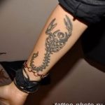 Фото рисунка скорпион 24.11.2018 №169 - photo tattoo scorpion - tattoo-photo.ru