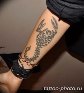 Фото рисунка скорпион 24.11.2018 №169 - photo tattoo scorpion - tattoo-photo.ru