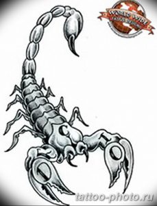 Фото рисунка скорпион 24.11.2018 №171 - photo tattoo scorpion - tattoo-photo.ru