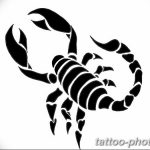 Фото рисунка скорпион 24.11.2018 №172 - photo tattoo scorpion - tattoo-photo.ru