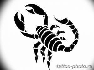 Фото рисунка скорпион 24.11.2018 №172 - photo tattoo scorpion - tattoo-photo.ru