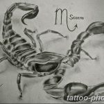 Фото рисунка скорпион 24.11.2018 №173 - photo tattoo scorpion - tattoo-photo.ru