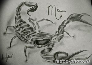 Фото рисунка скорпион 24.11.2018 №173 - photo tattoo scorpion - tattoo-photo.ru