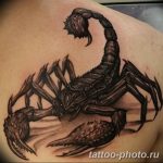 Фото рисунка скорпион 24.11.2018 №174 - photo tattoo scorpion - tattoo-photo.ru