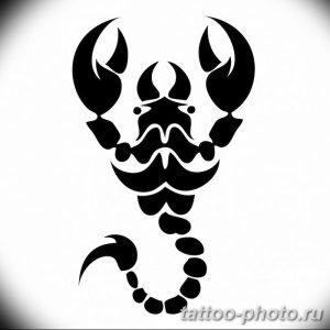 Фото рисунка скорпион 24.11.2018 №175 - photo tattoo scorpion - tattoo-photo.ru