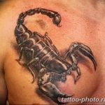 Фото рисунка скорпион 24.11.2018 №177 - photo tattoo scorpion - tattoo-photo.ru