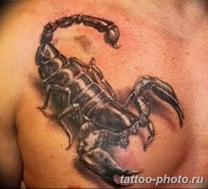 Фото рисунка скорпион 24.11.2018 №177 - photo tattoo scorpion - tattoo-photo.ru