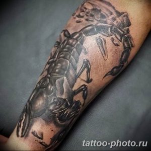 Фото рисунка скорпион 24.11.2018 №179 - photo tattoo scorpion - tattoo-photo.ru