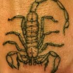 Фото рисунка скорпион 24.11.2018 №180 - photo tattoo scorpion - tattoo-photo.ru