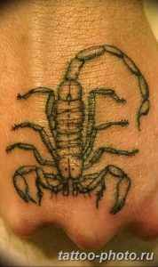 Фото рисунка скорпион 24.11.2018 №180 - photo tattoo scorpion - tattoo-photo.ru