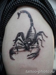 Фото рисунка скорпион 24.11.2018 №182 - photo tattoo scorpion - tattoo-photo.ru