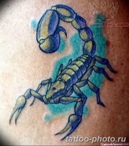 Фото рисунка скорпион 24.11.2018 №185 - photo tattoo scorpion - tattoo-photo.ru