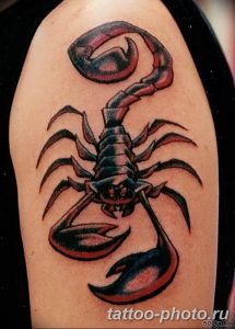 Фото рисунка скорпион 24.11.2018 №188 - photo tattoo scorpion - tattoo-photo.ru