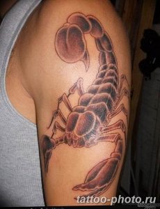 Фото рисунка скорпион 24.11.2018 №189 - photo tattoo scorpion - tattoo-photo.ru