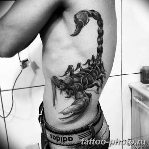 Фото рисунка скорпион 24.11.2018 №190 - photo tattoo scorpion - tattoo-photo.ru