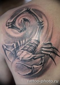 Фото рисунка скорпион 24.11.2018 №191 - photo tattoo scorpion - tattoo-photo.ru